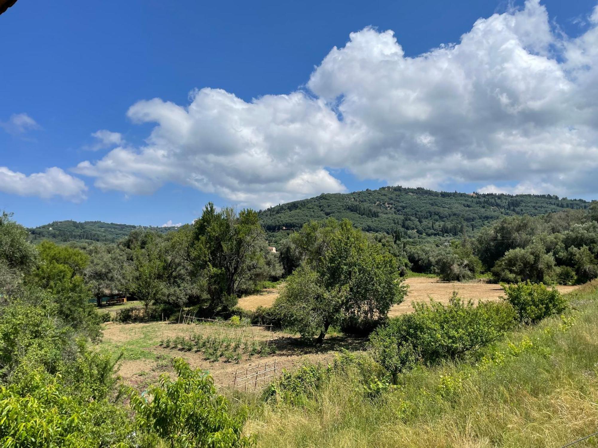 Villa Katerina Agios Georgios Pagon Ruang foto